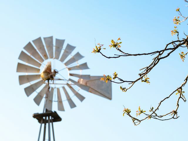 A photo of a windmill next to some branches